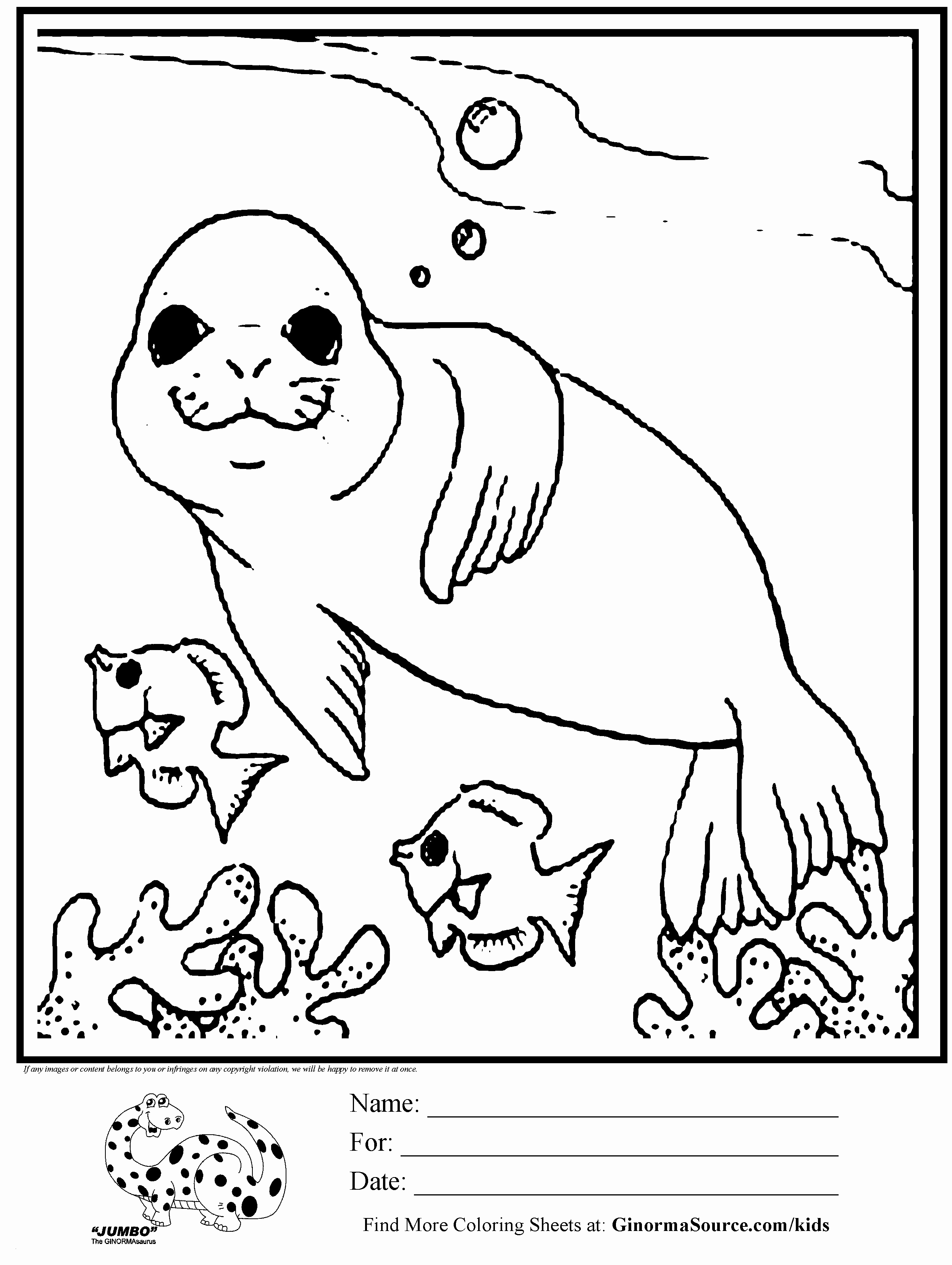 seal coloring pages printable jpg