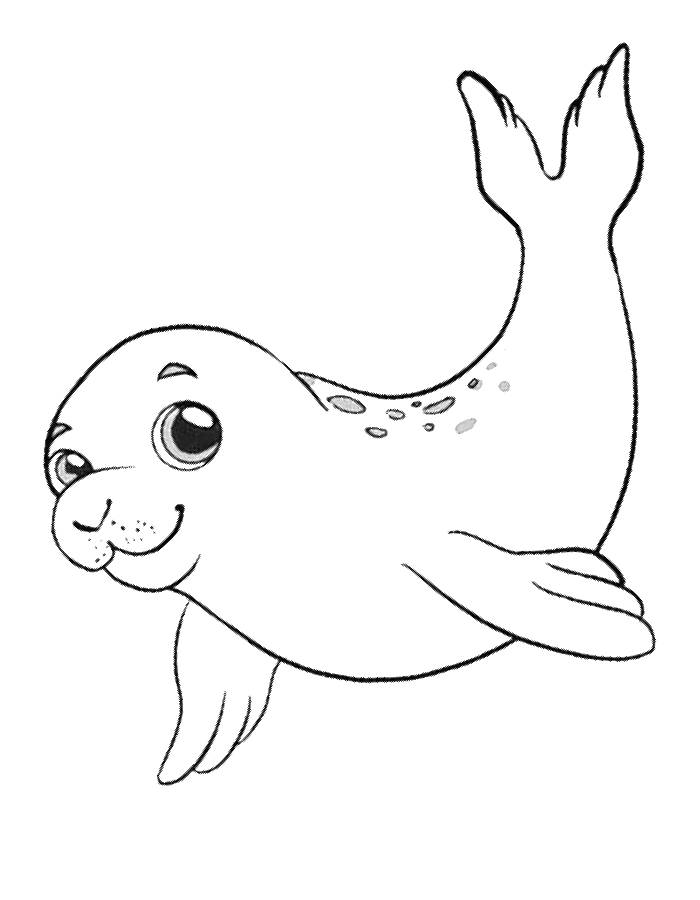 88 Seal Coloring Pages Printable 83