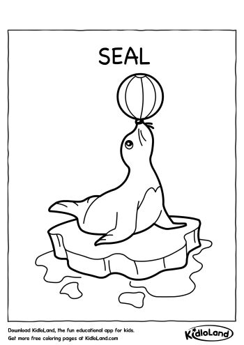 88 Seal Coloring Pages Printable 86