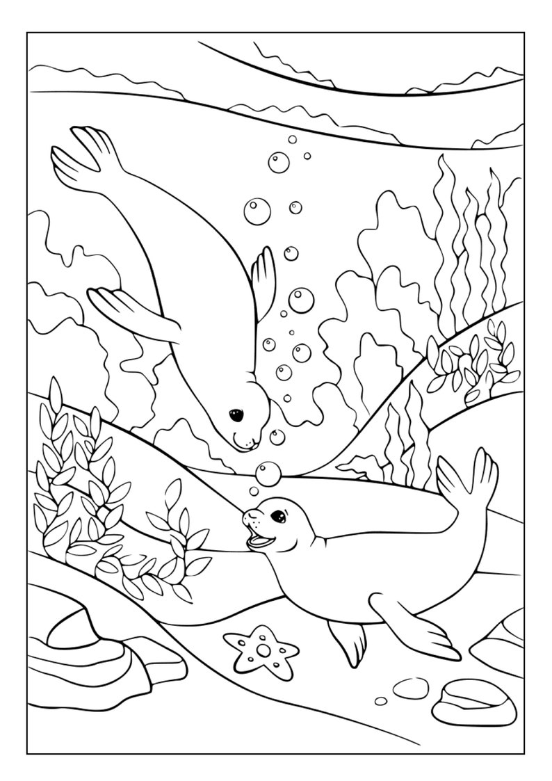 88 Seal Coloring Pages Printable 87