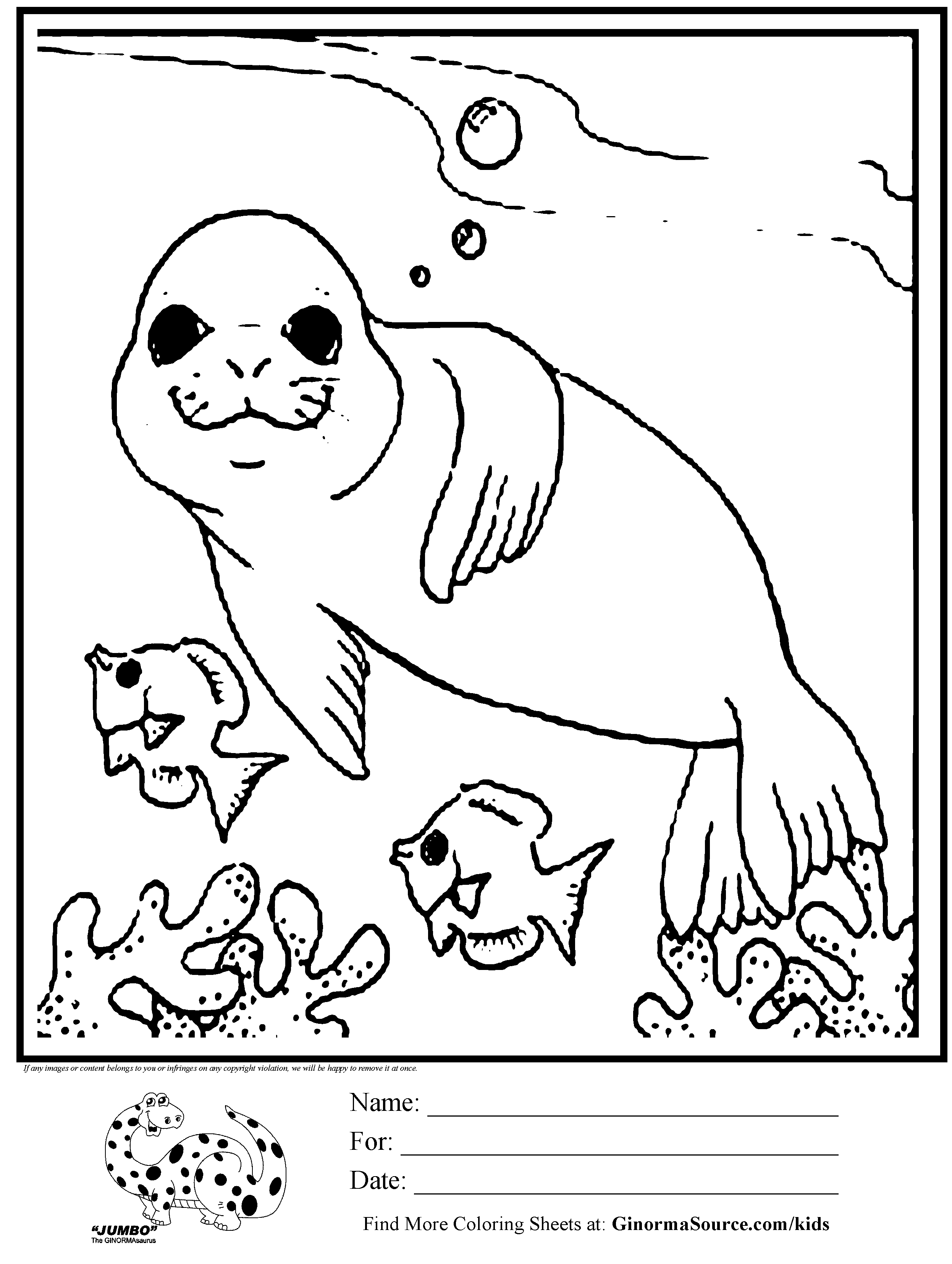 88 Seal Coloring Pages Printable 9