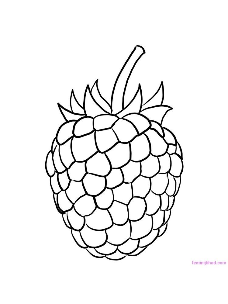 89 Raspberry Coloring Pages Printable 16