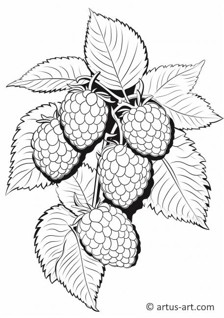 89 Raspberry Coloring Pages Printable 19