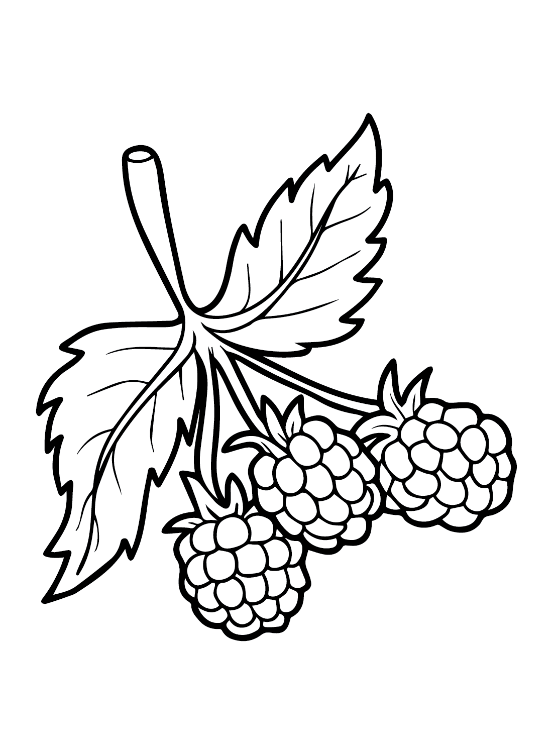 89 Raspberry Coloring Pages Printable 27