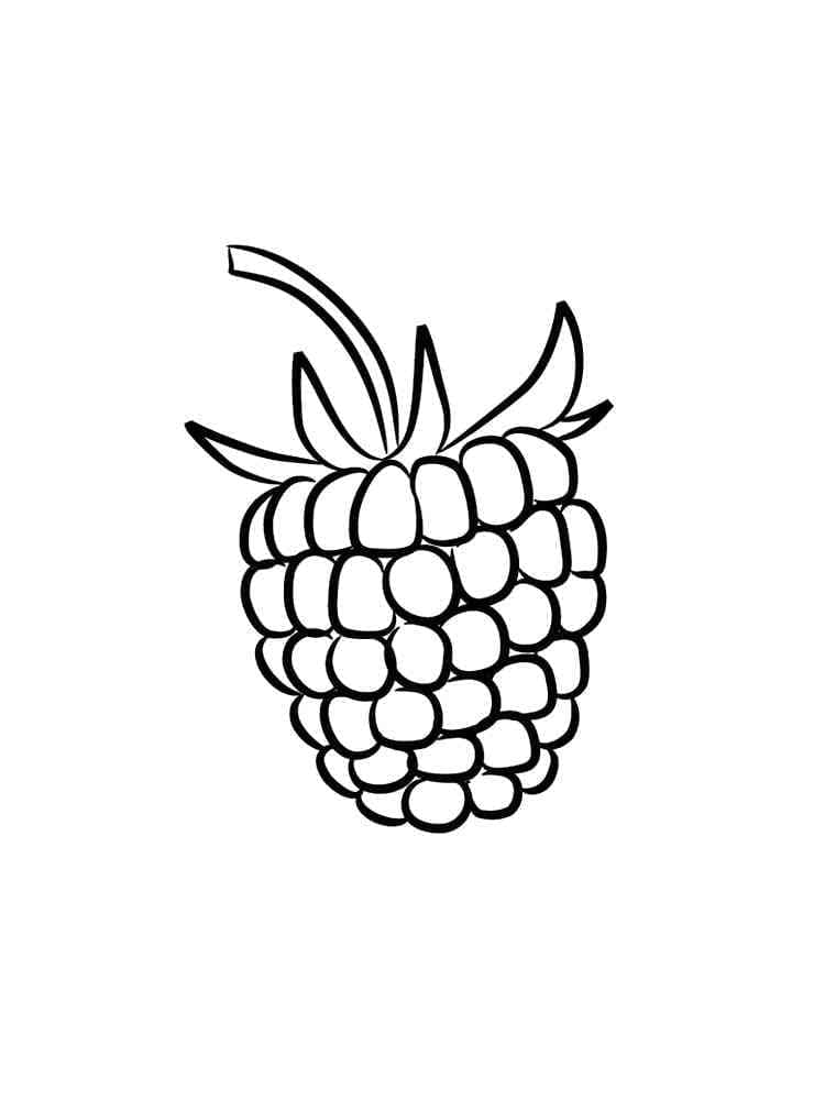 89 Raspberry Coloring Pages Printable 37