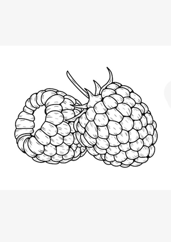 raspberry coloring pages printable jpg