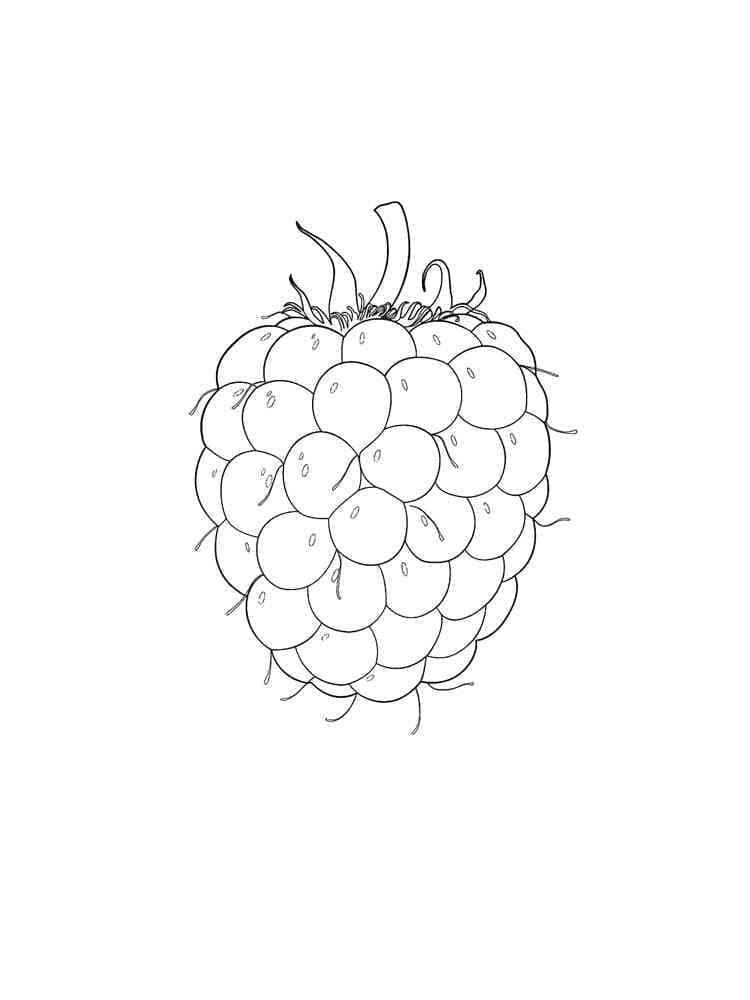 89 Raspberry Coloring Pages Printable 5