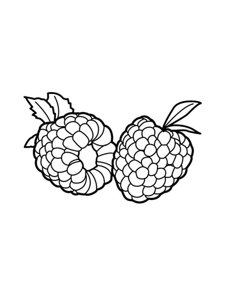 89 Raspberry Coloring Pages Printable 50