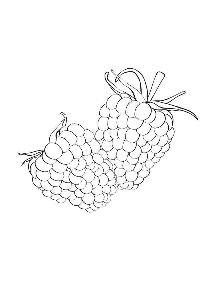 89 Raspberry Coloring Pages Printable 57