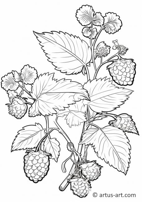 89 Raspberry Coloring Pages Printable 58