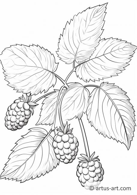 89 Raspberry Coloring Pages Printable 8