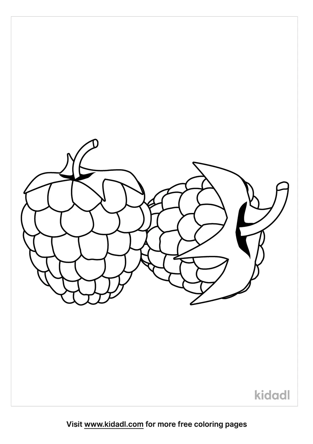 89 Raspberry Coloring Pages Printable 83