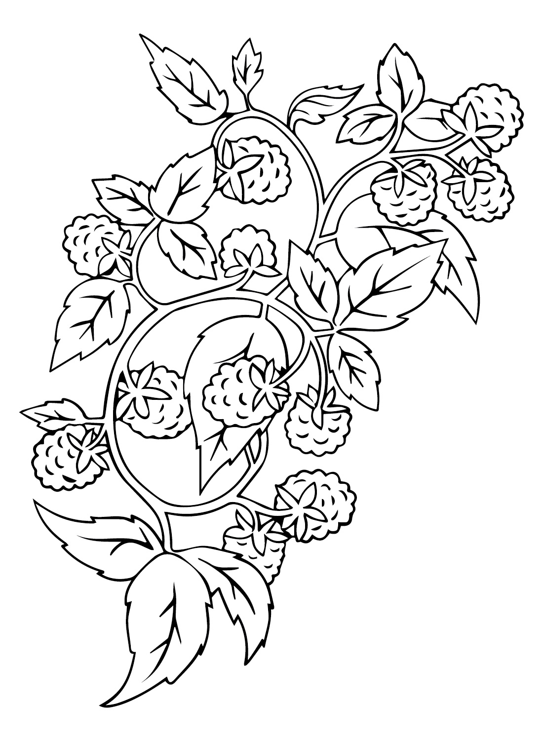 89 Raspberry Coloring Pages Printable 88