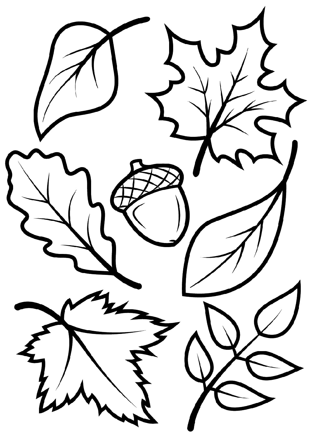 autumn leaves coloring pages printable jpg