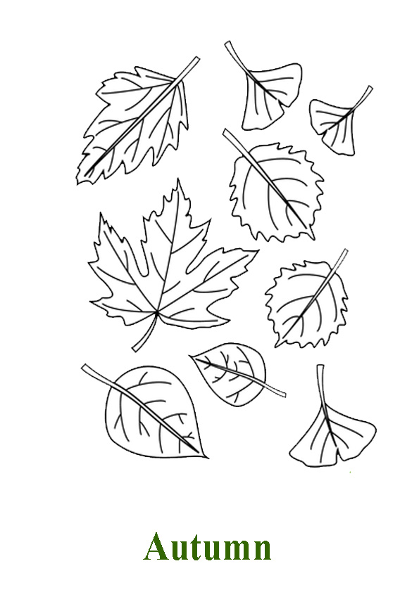 autumn leaves coloring pages printable jpg