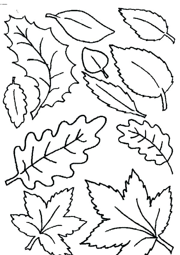 Autumn Leaves Coloring Pages Printable 16