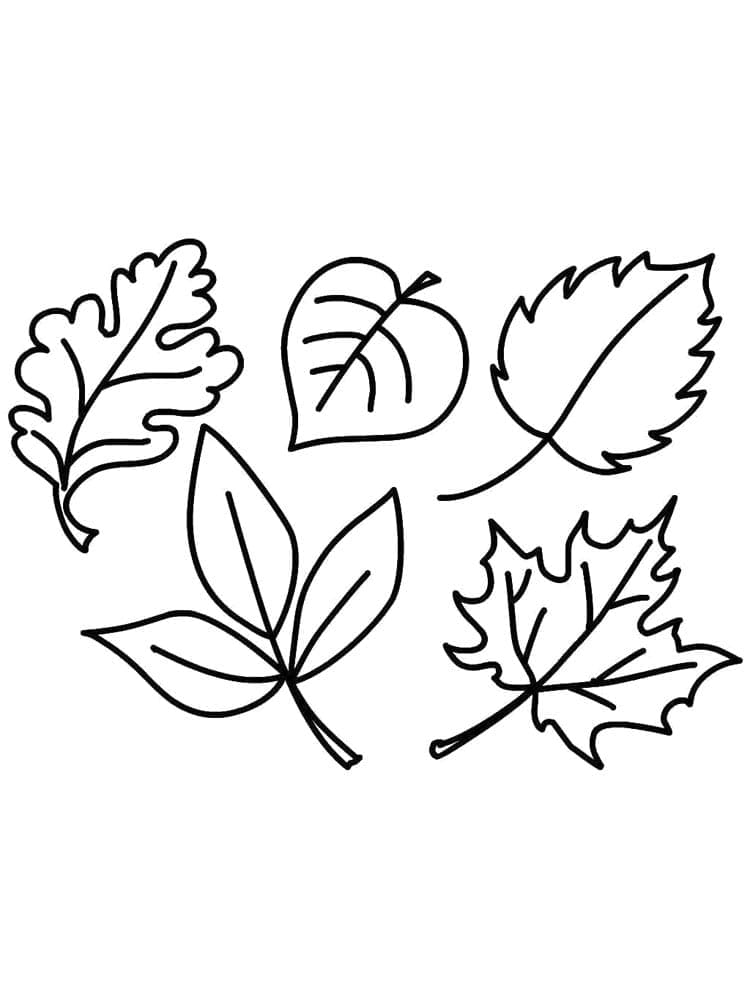 Autumn Leaves Coloring Pages Printable 19