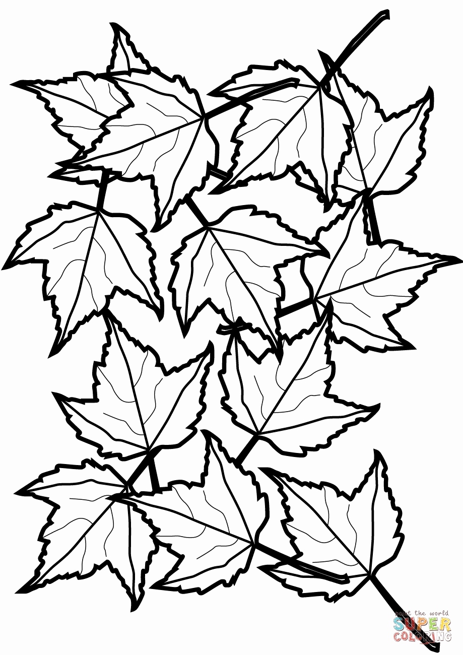 Autumn Leaves Coloring Pages Printable 2