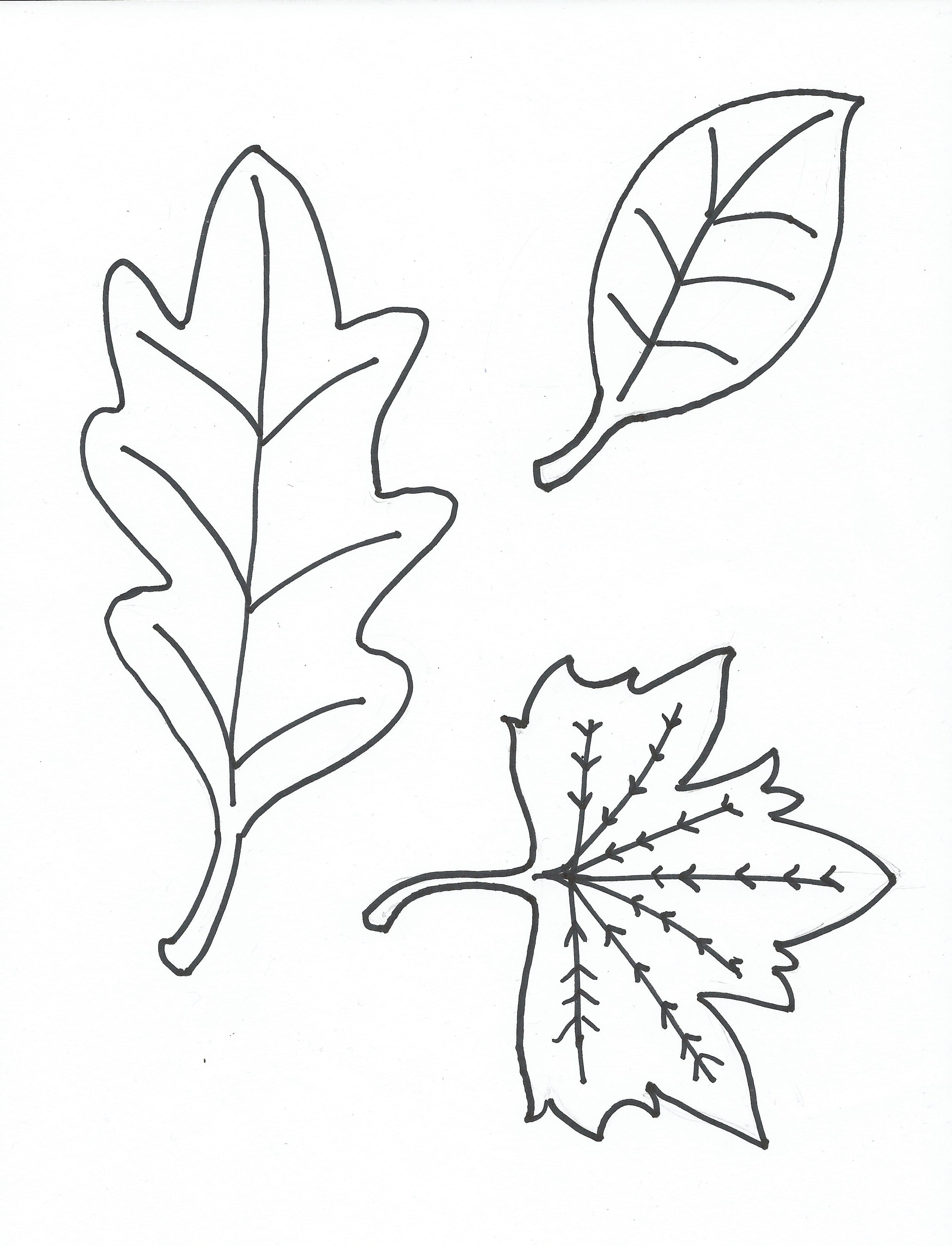 Autumn Leaves Coloring Pages Printable 21