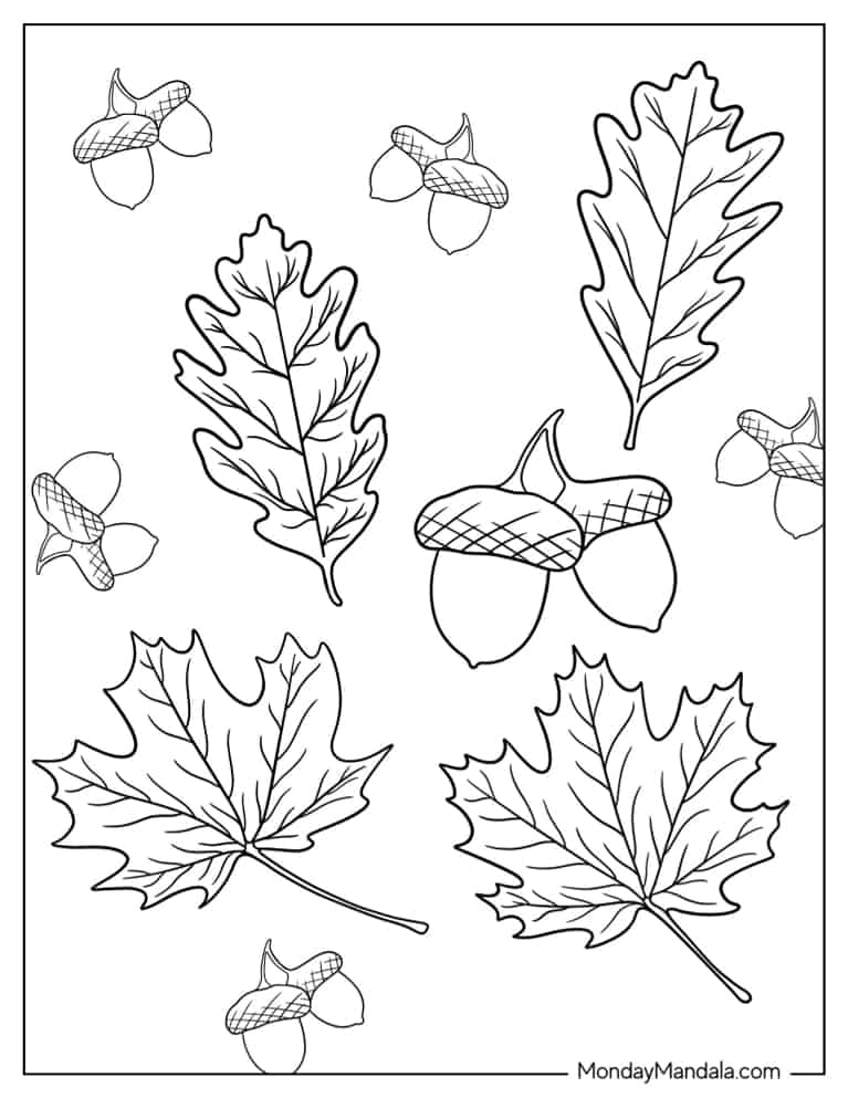 Autumn Leaves Coloring Pages Printable 22