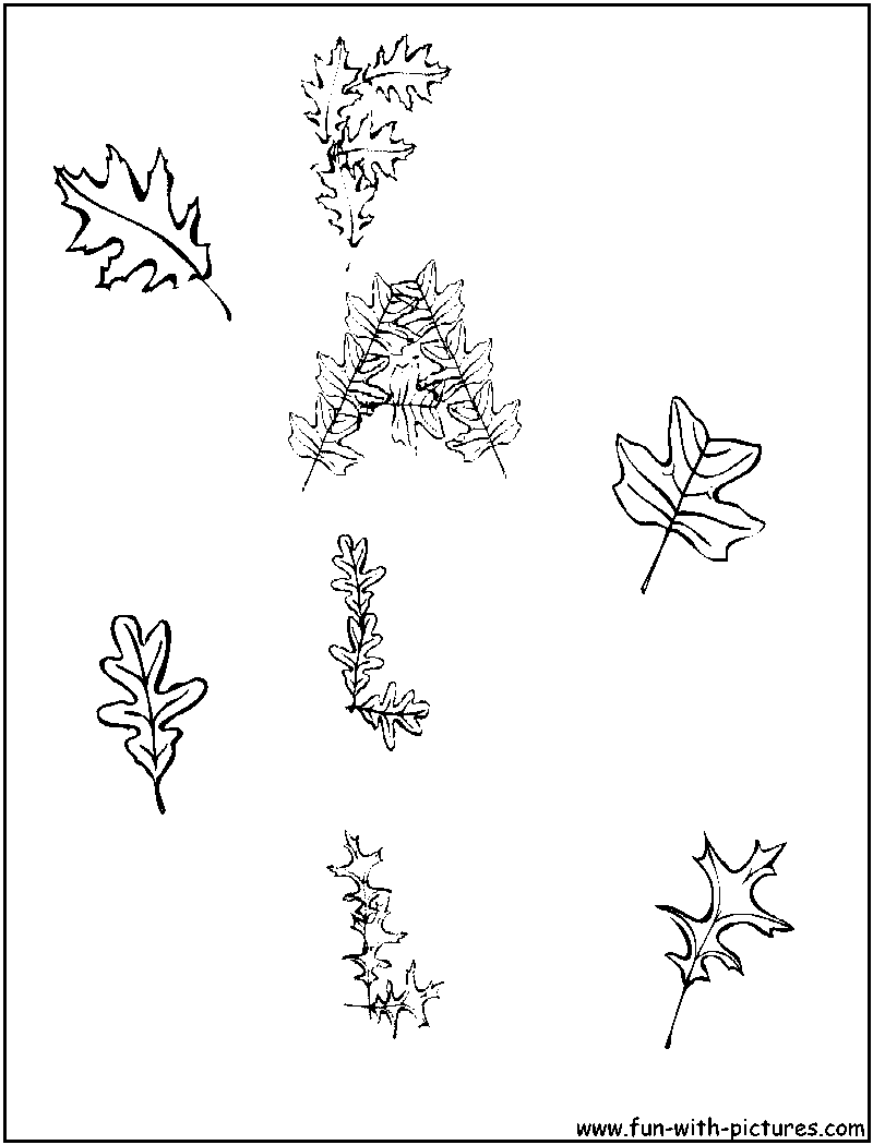 Autumn Leaves Coloring Pages Printable 24