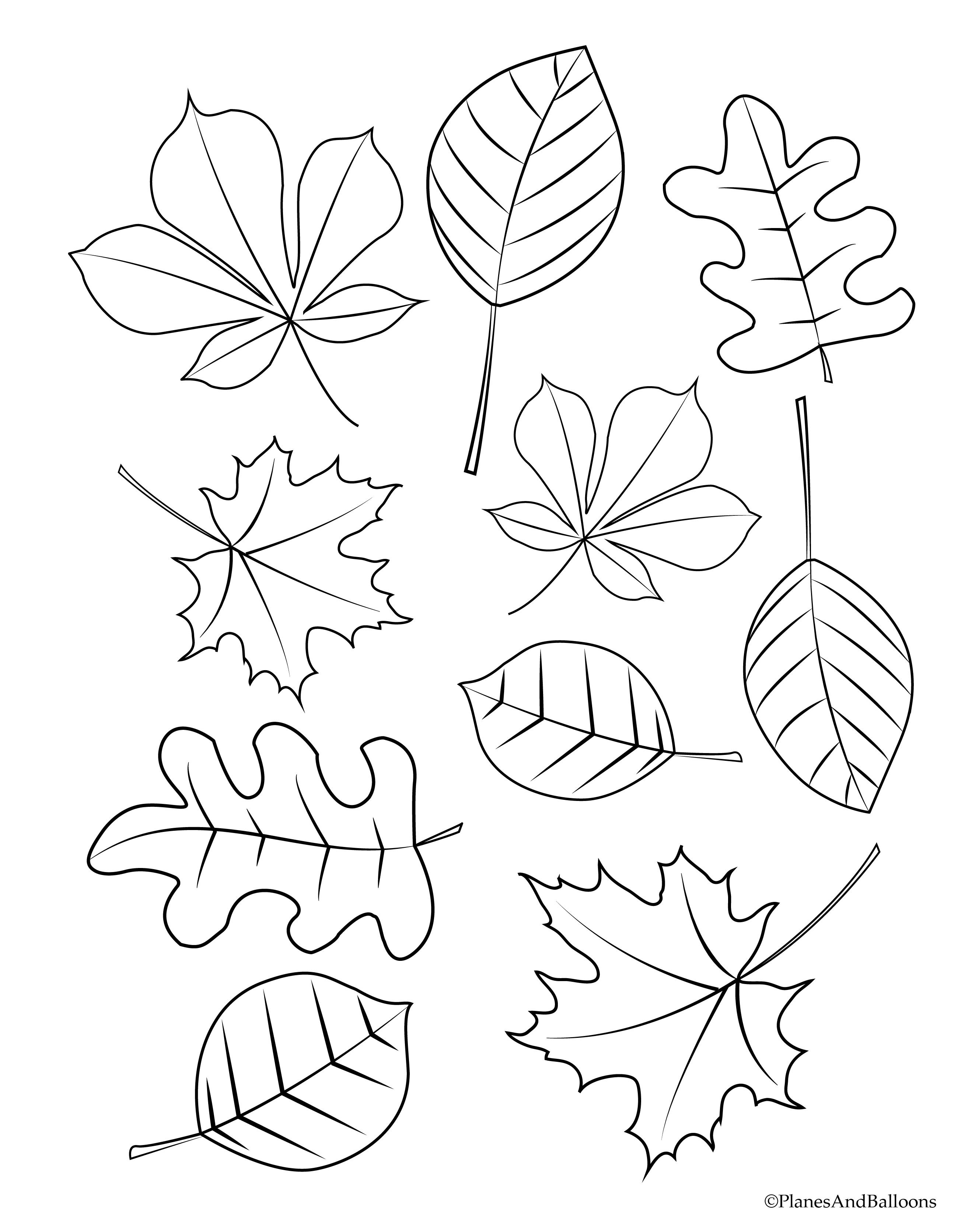 Autumn Leaves Coloring Pages Printable 25