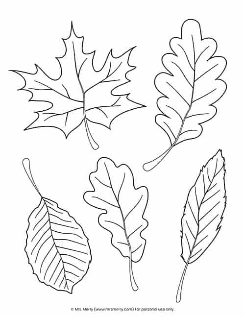 Autumn Leaves Coloring Pages Printable 29