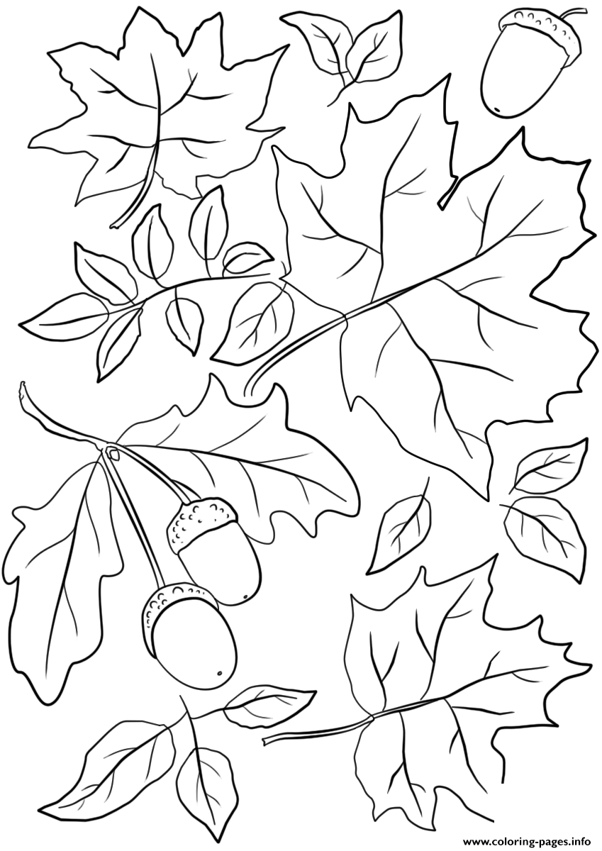 autumn leaves coloring pages printable jpg