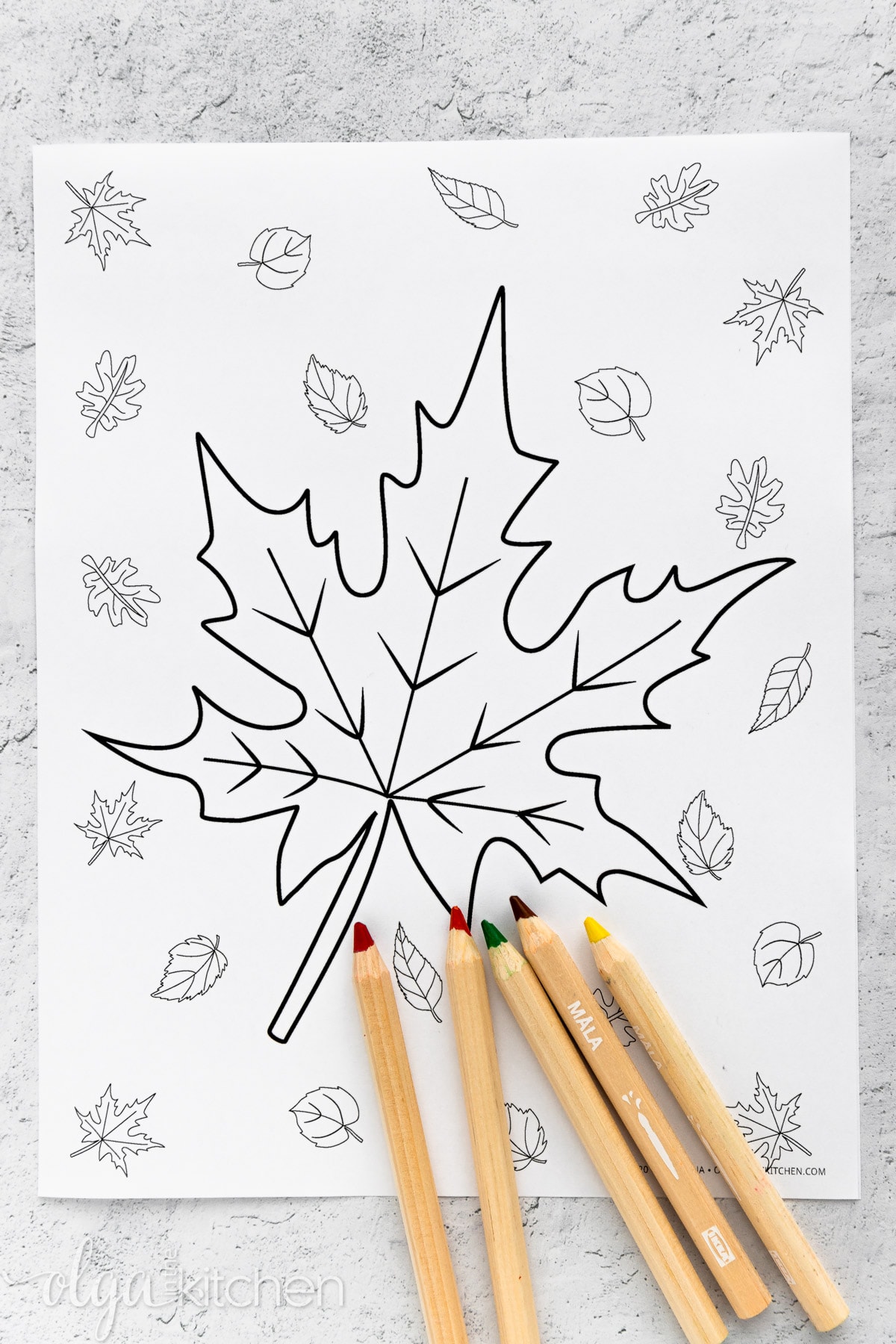 autumn leaves coloring pages printable jpg