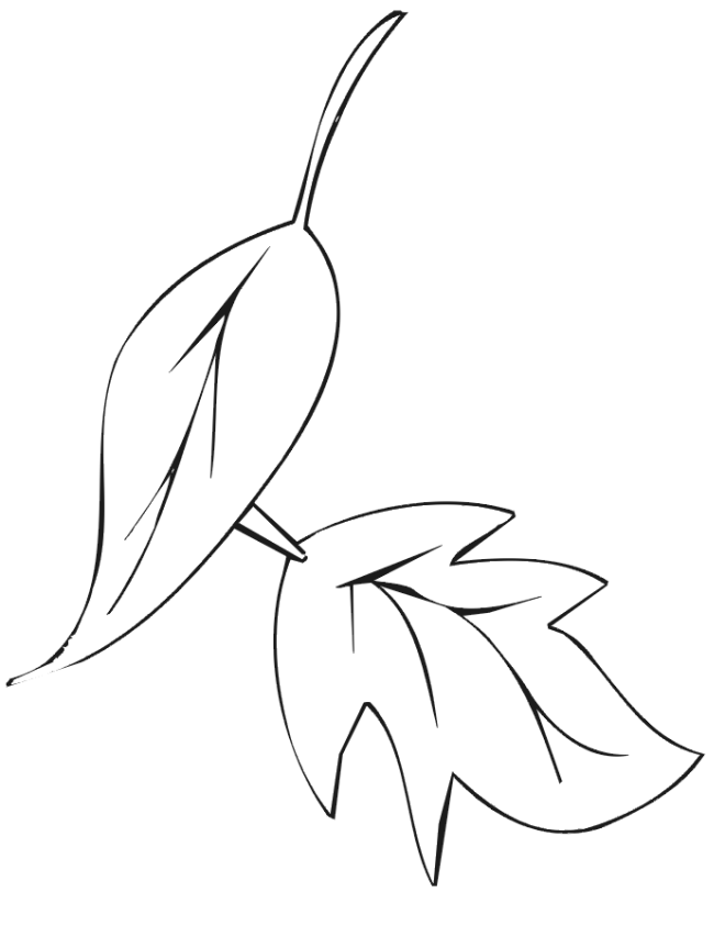 Autumn Leaves Coloring Pages Printable 35