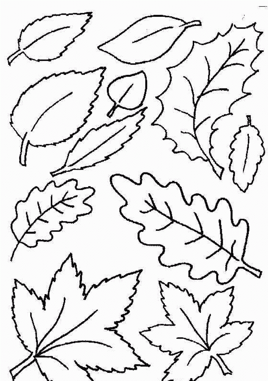 Autumn Leaves Coloring Pages Printable 4