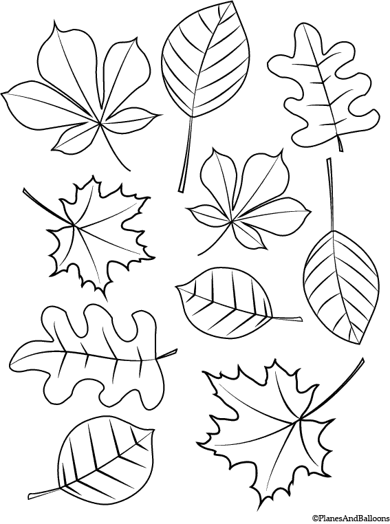 Autumn Leaves Coloring Pages Printable 7