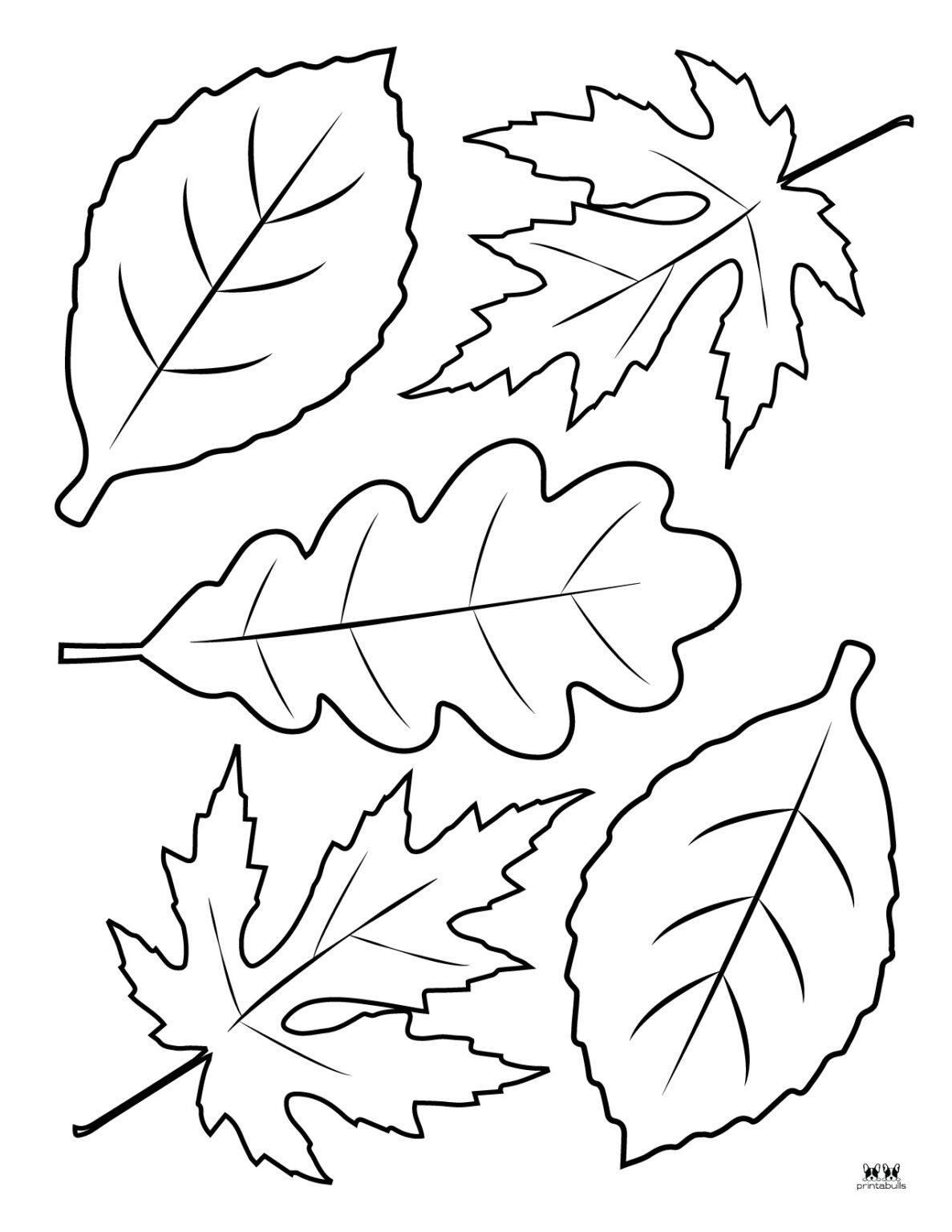 autumn leaves coloring pages printable jpg