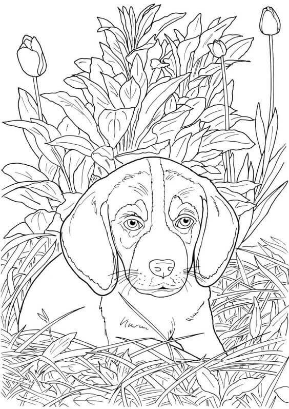 dog coloring pages printable happiness jpg