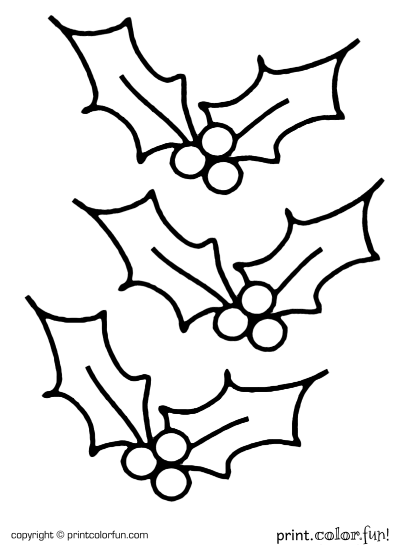 festive holly coloring pages printable jpg