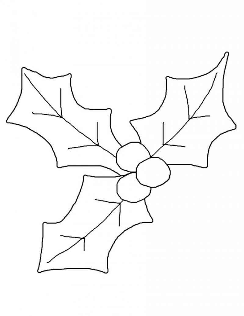 festive holly coloring pages printable jpg