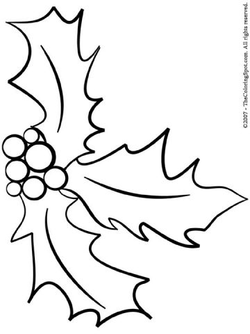 Festive Holly Coloring Pages Printable 29