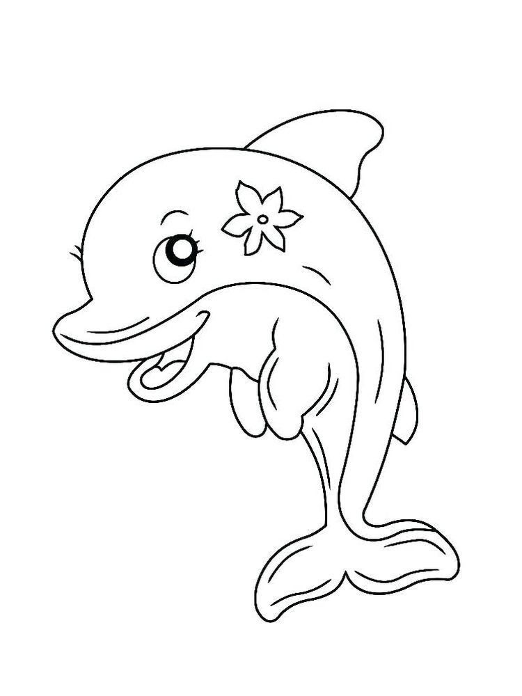 playful dolphin coloring pages printable jpg