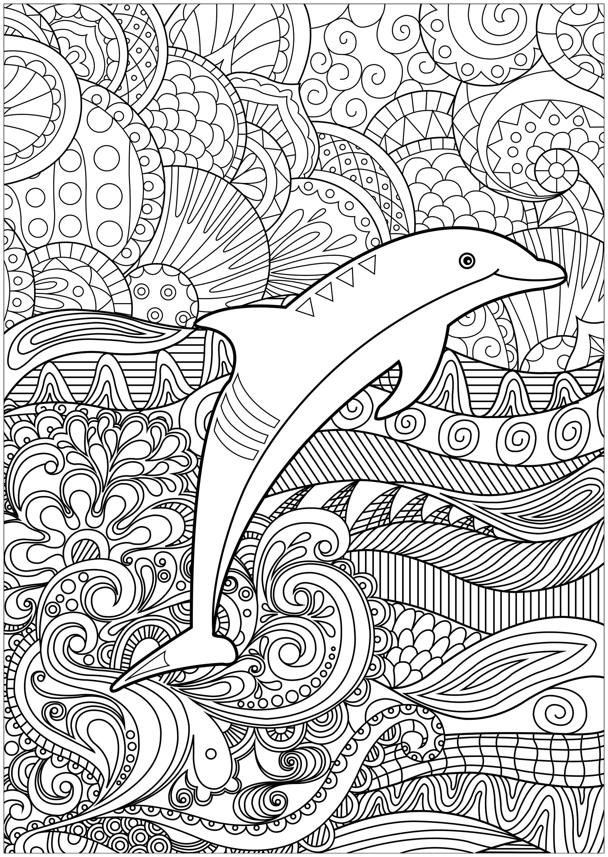 playful dolphin coloring pages printable jpg