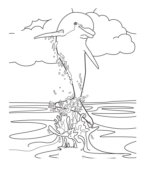 Playful Dolphin Coloring Pages Printable 17