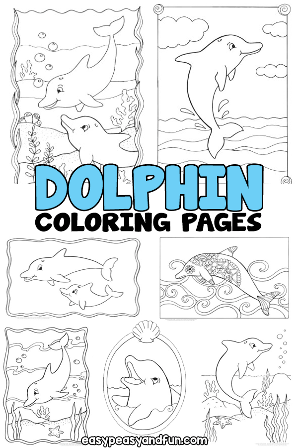 Playful Dolphin Coloring Pages Printable 18