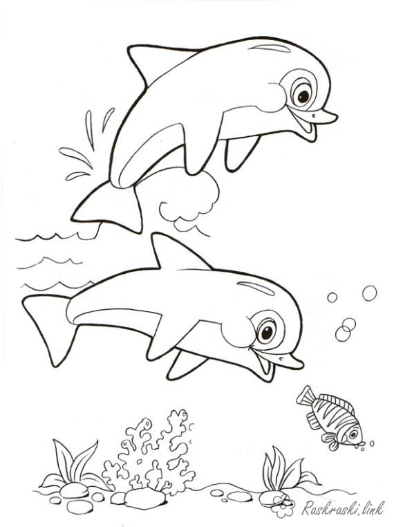 Playful Dolphin Coloring Pages Printable 19