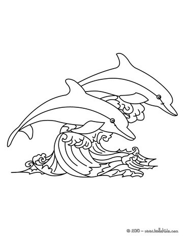 playful dolphin coloring pages printable jpg