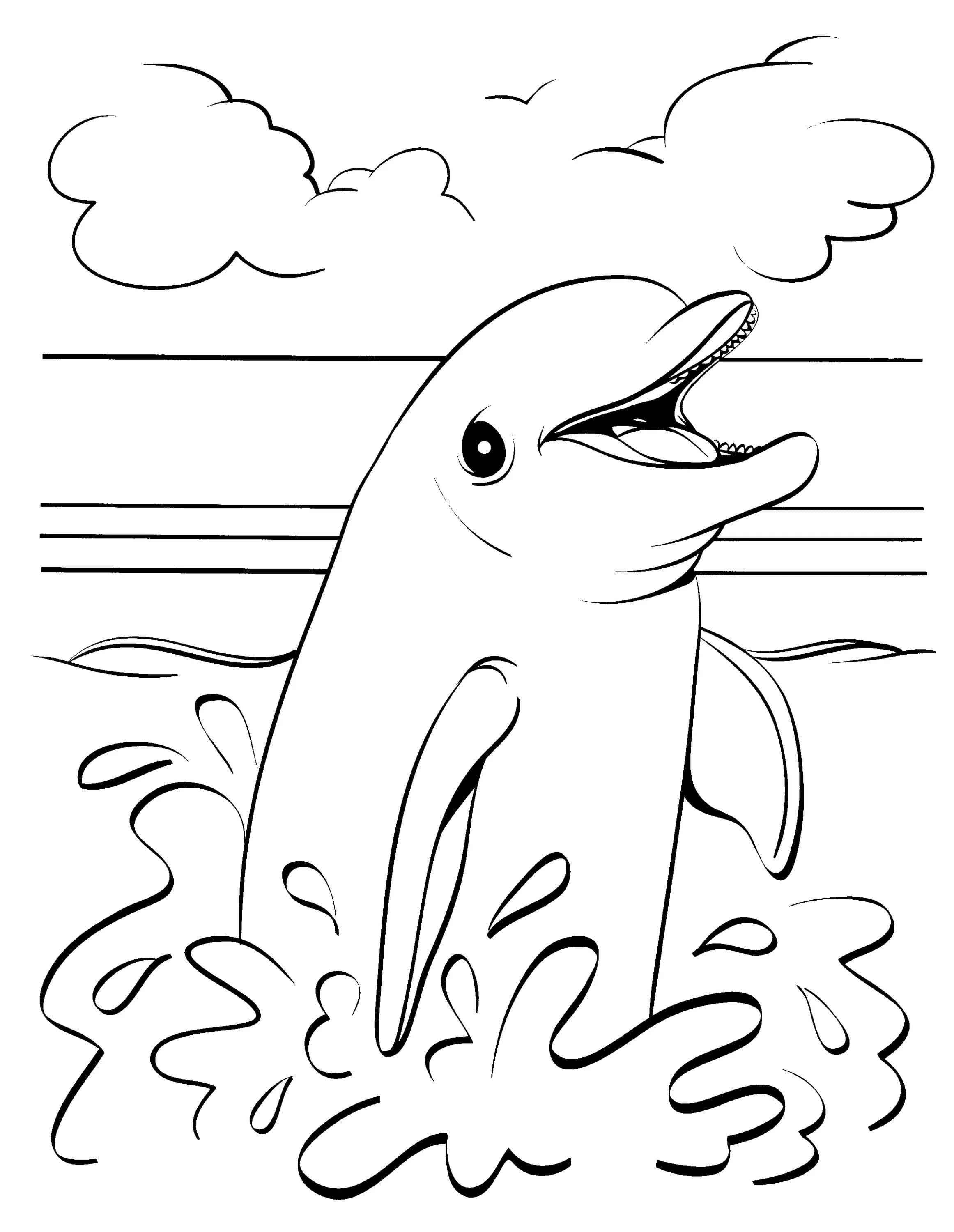 Playful Dolphin Coloring Pages Printable 26