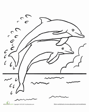 Playful Dolphin Coloring Pages Printable 3