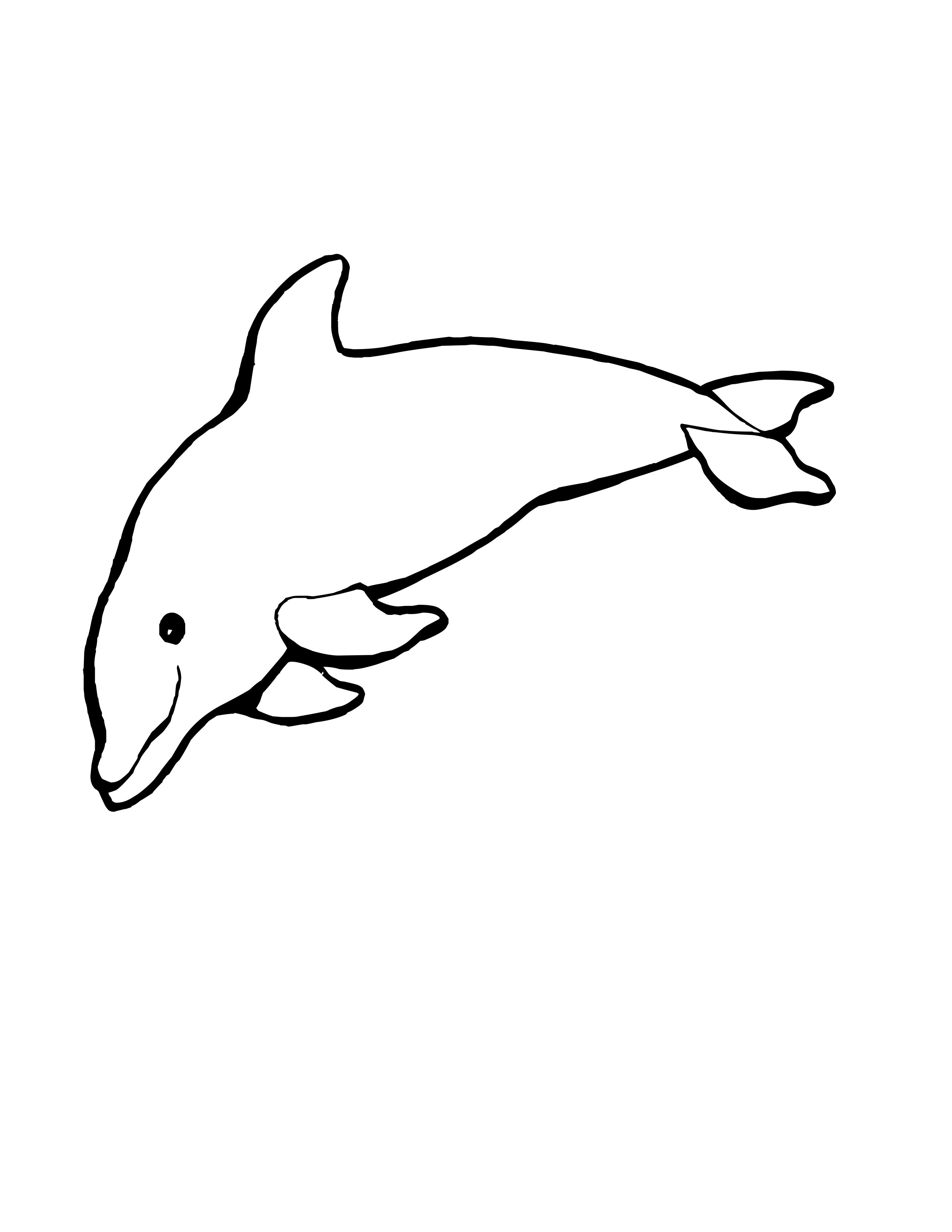 Playful Dolphin Coloring Pages Printable 6