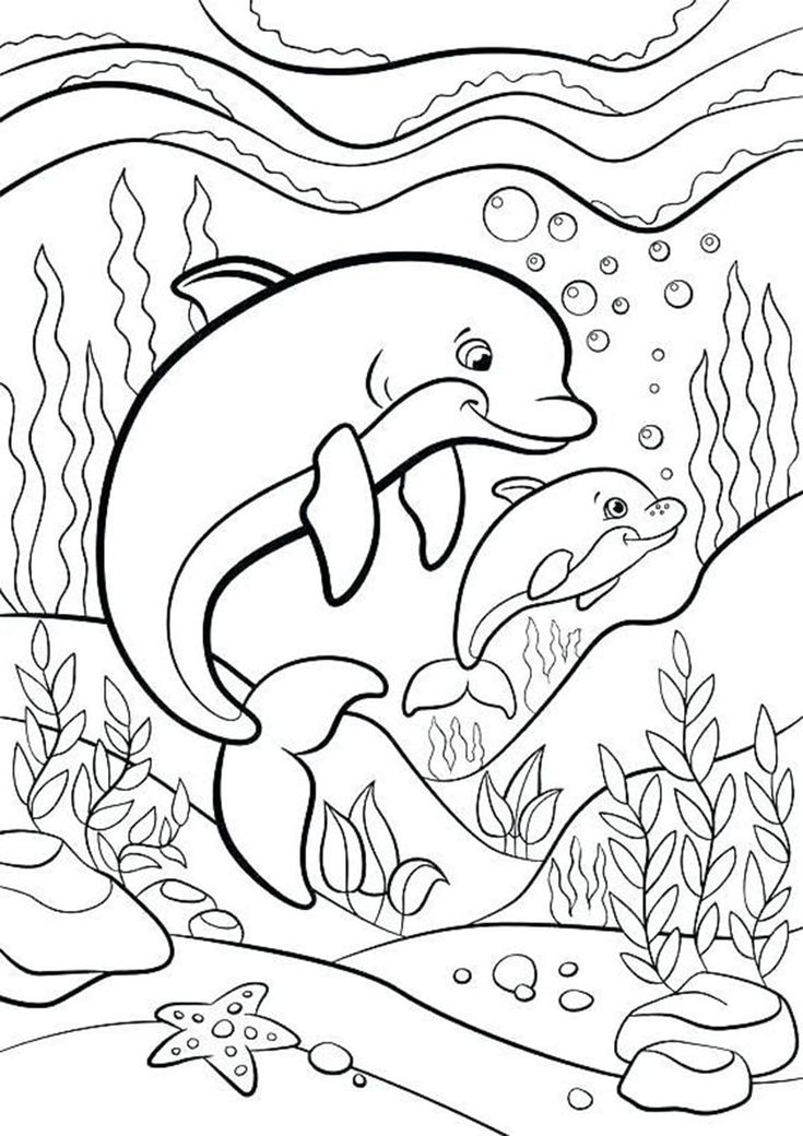 Playful Dolphin Coloring Pages Printable 8