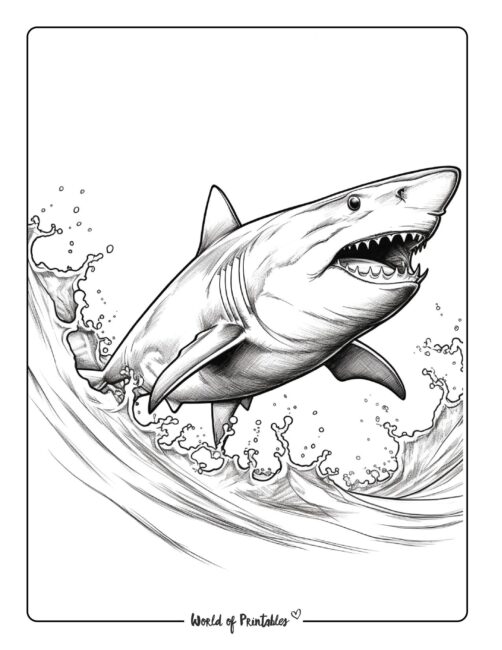 Thrilling Shark Coloring Pages Printable 10