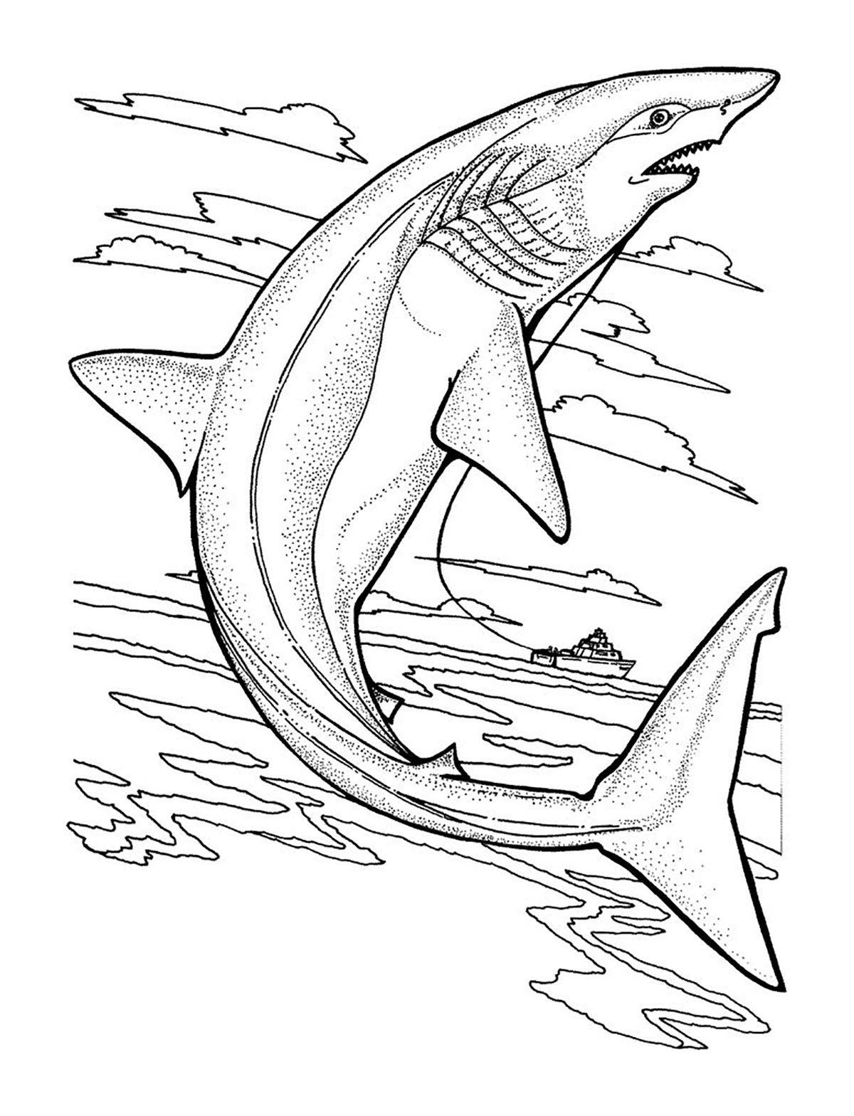 Thrilling Shark Coloring Pages Printable 11