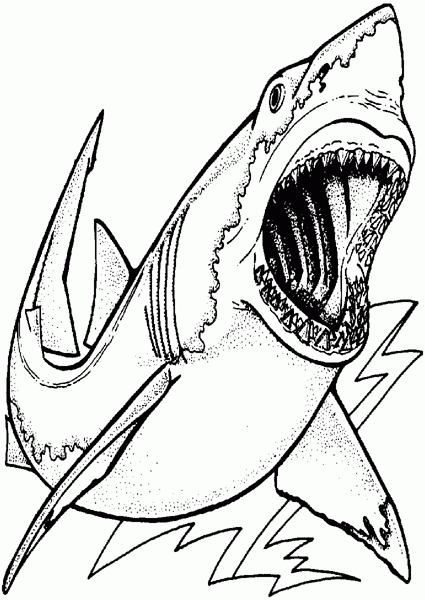 Thrilling Shark Coloring Pages Printable 12